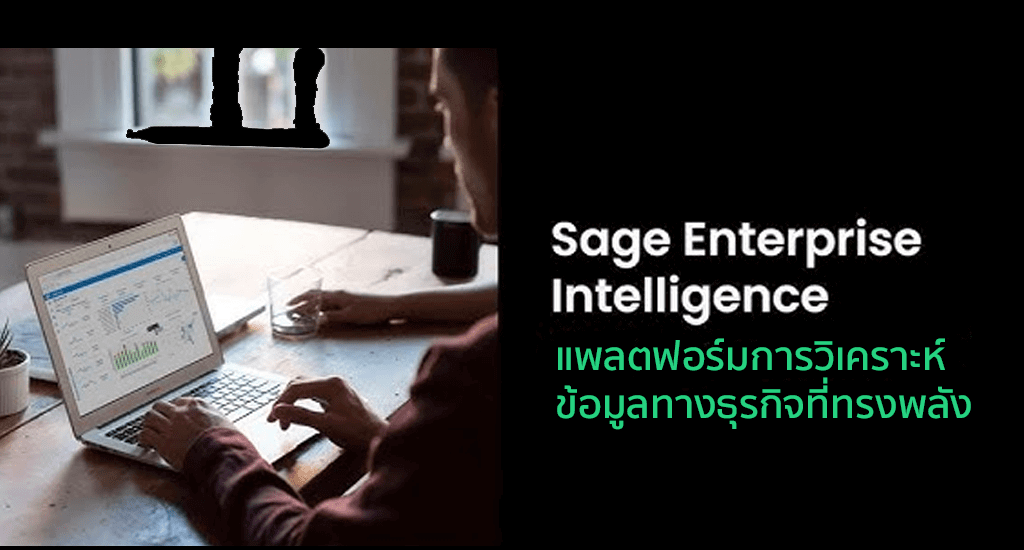 Sage Enterprise Intelligence