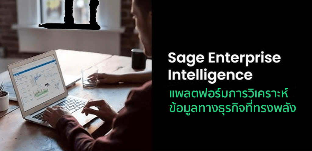 Sage Enterprise Intelligence