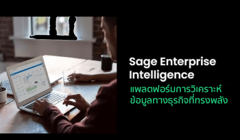 Sage Enterprise Intelligence