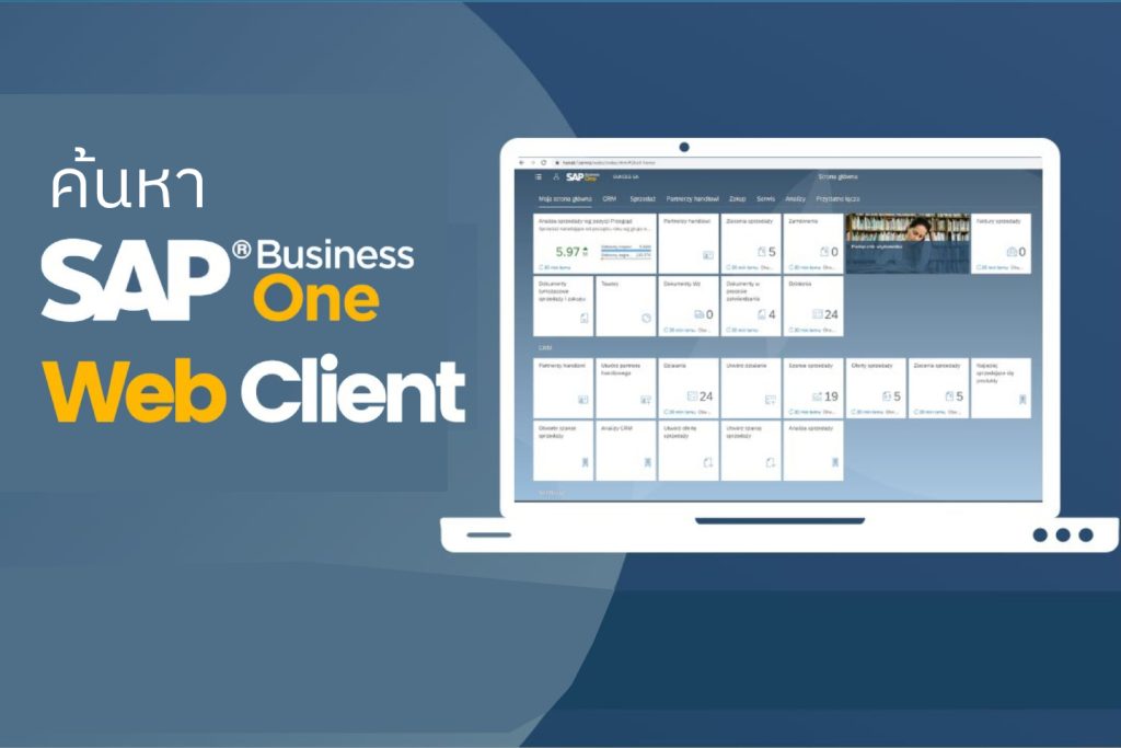 SAP Business One Web Client Article Cover