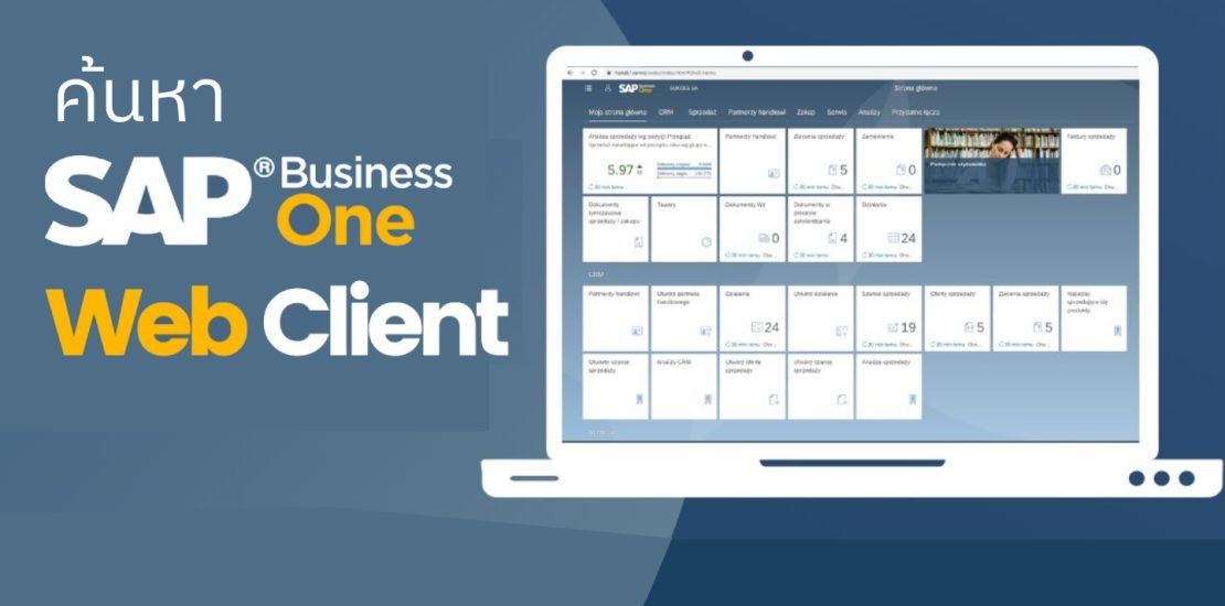 SAP Business One Web Client Article Cover