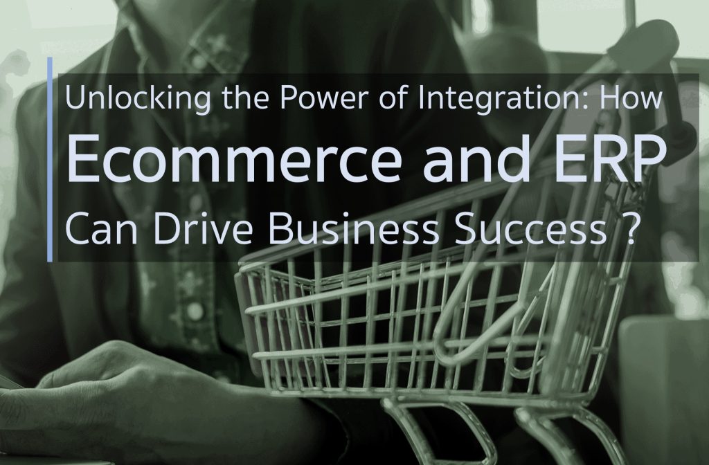 Unlocking the Power of Integration- How Ecommerce and ERP Can Drive Business Success