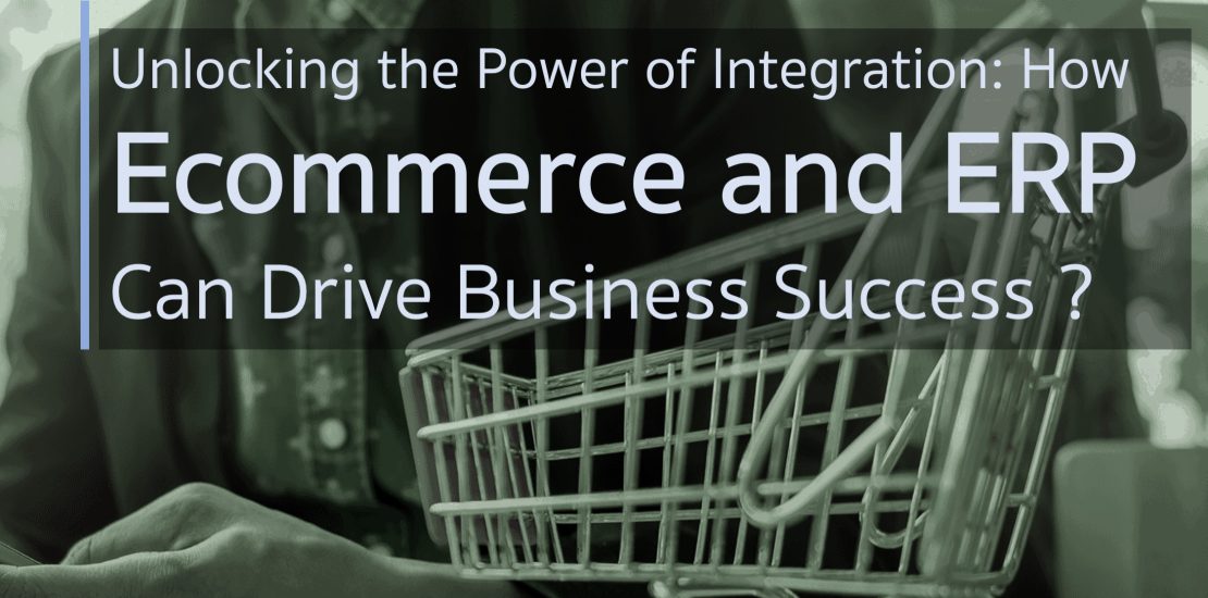 Unlocking the Power of Integration- How Ecommerce and ERP Can Drive Business Success