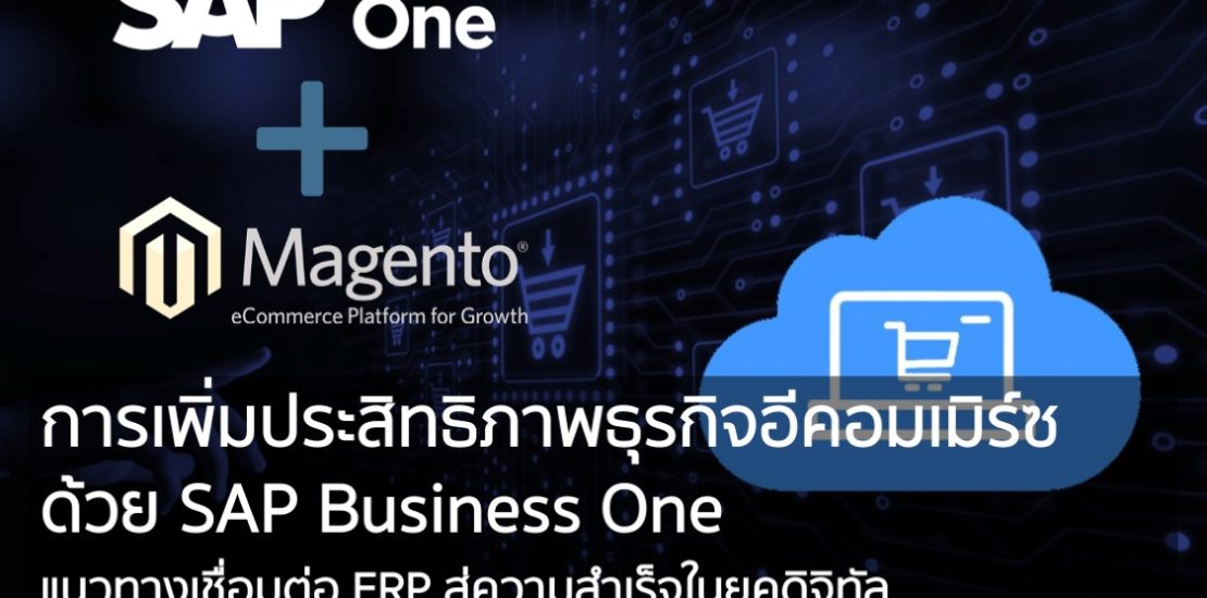 SAP Business One Ecommerce
